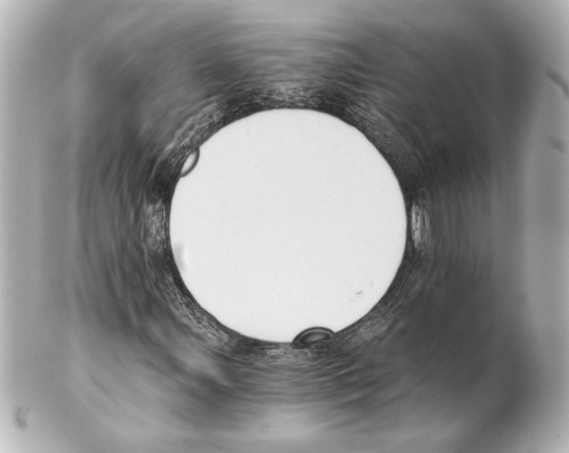 X0000101461107200808041035