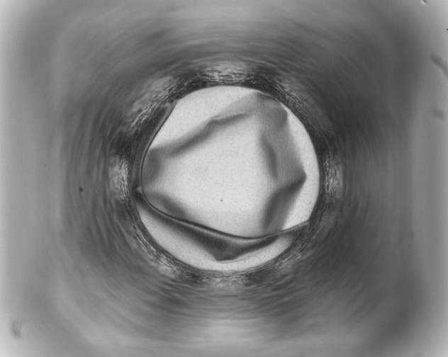X0000101461108200808041035