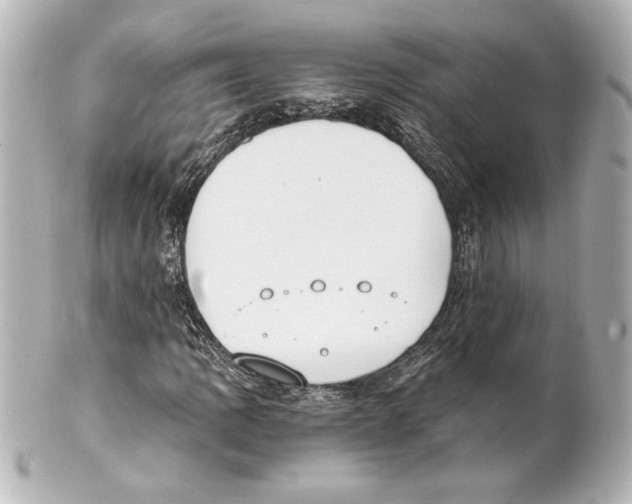 X0000101461109200808041035