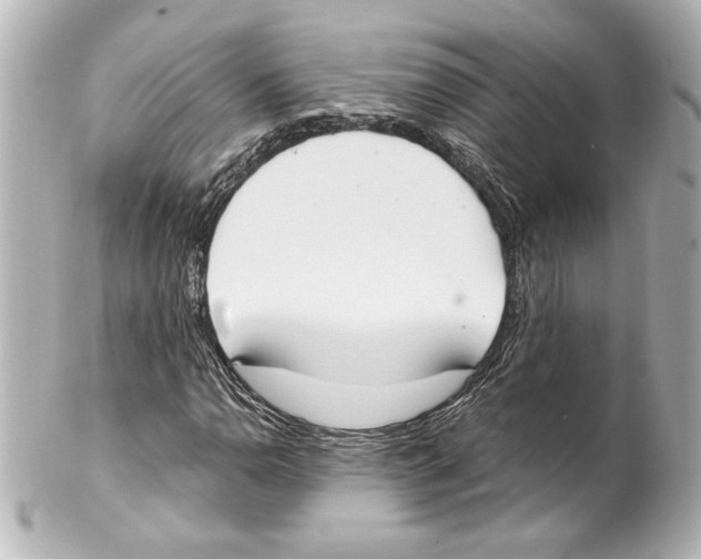 X0000101461110200808041035
