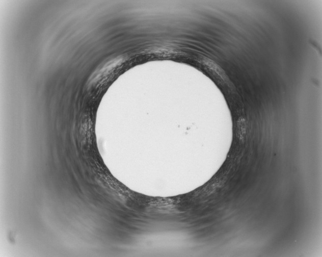 X0000101461111200808041035