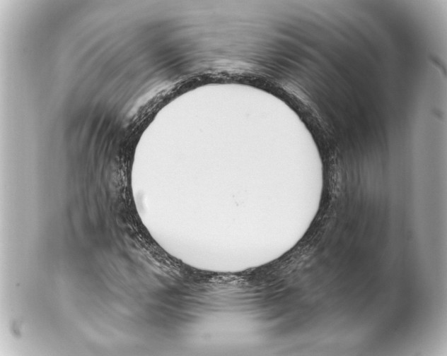 X0000101461112200808041035