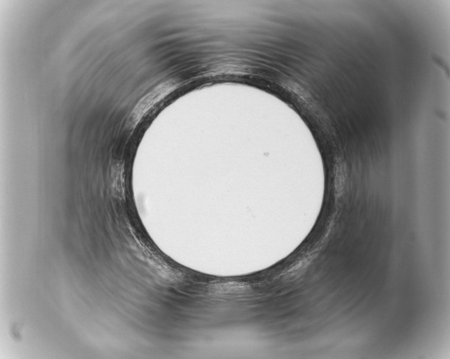X0000101461113200808041035