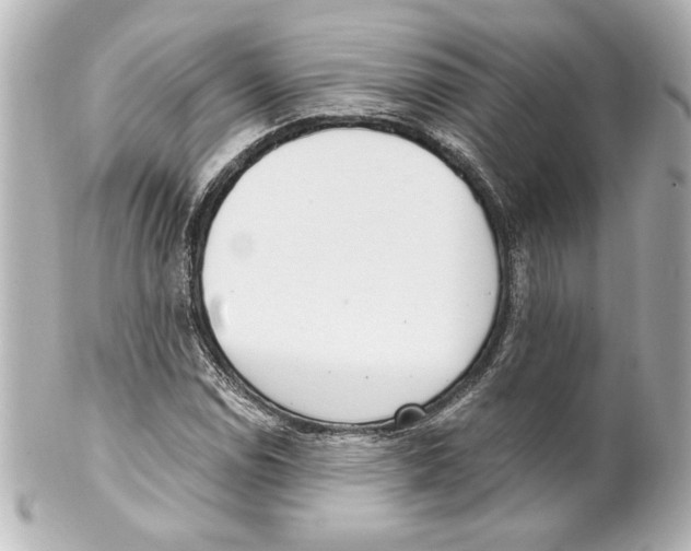 X0000101461114200808041035