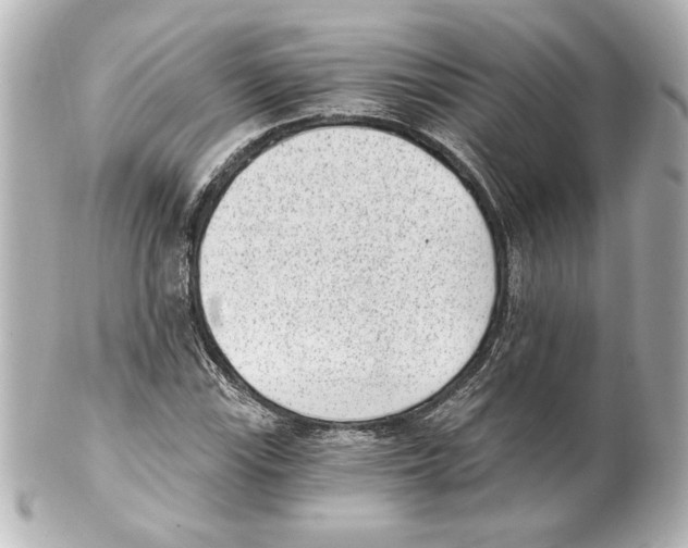 X0000101461115200808041035