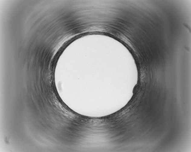 X0000101461116200808041035