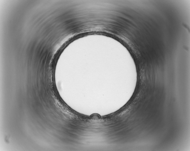 X0000101461118200808041035