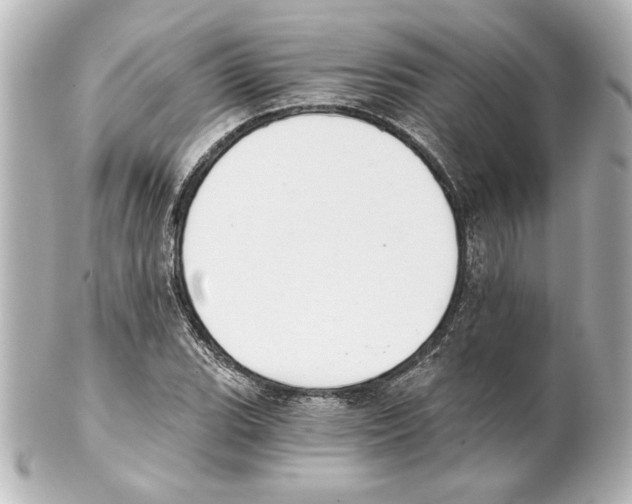 X0000101461119200808041035