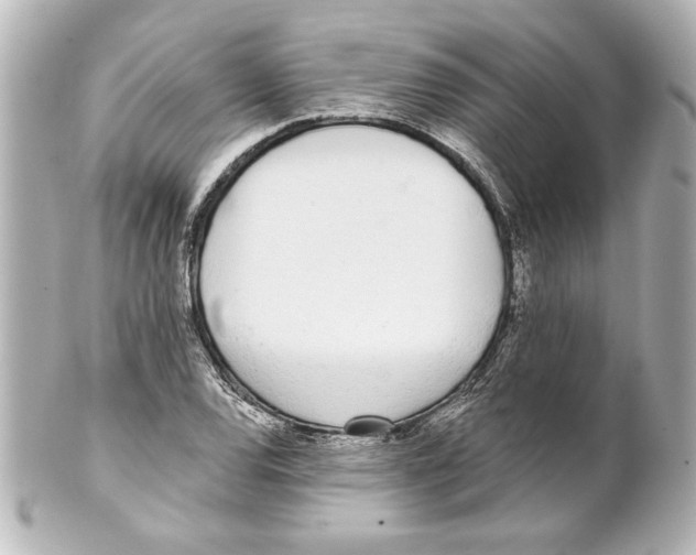 X0000101461120200808041035