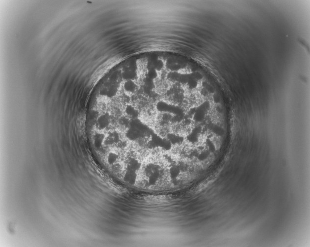 X0000101461121200808041035