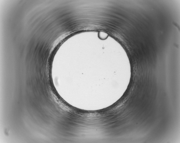 X0000101461122200808041035