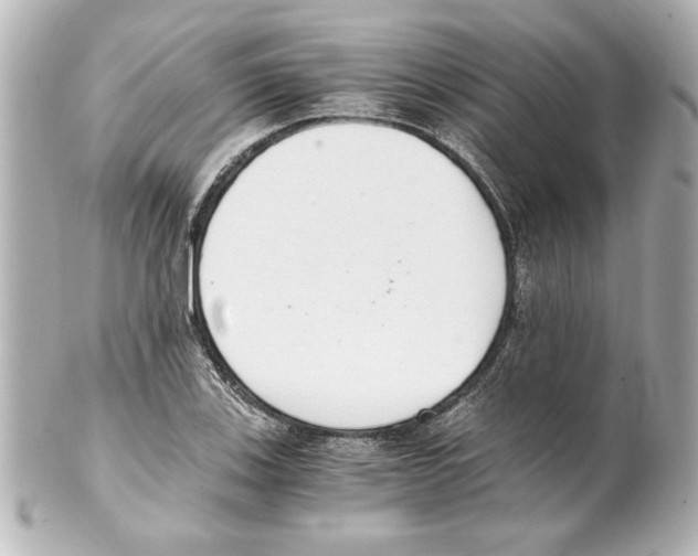 X0000101461123200808041035