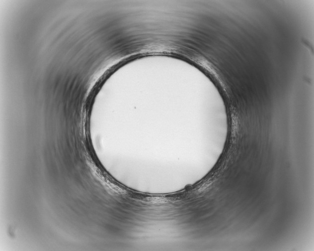X0000101461124200808041035