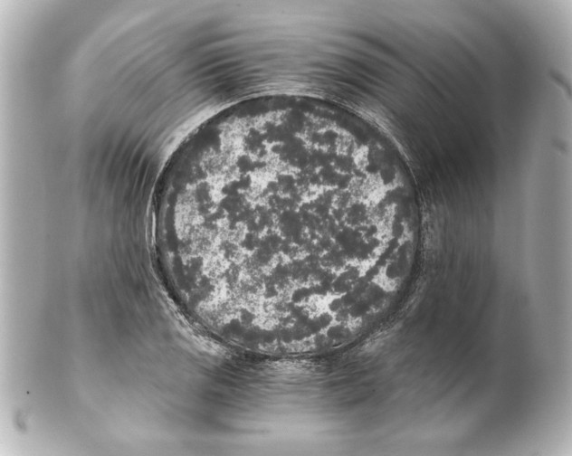 X0000101461125200808041035