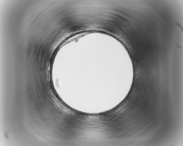 X0000101461126200808041036