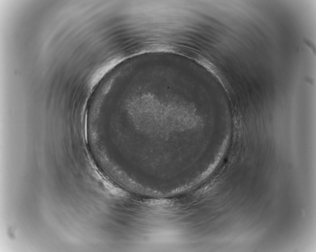 X0000101461127200808041036