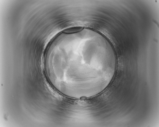 X0000101461128200808041036