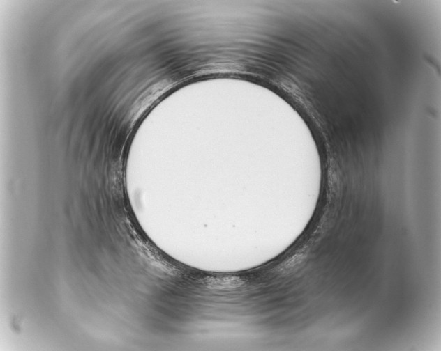X0000101461129200808041036