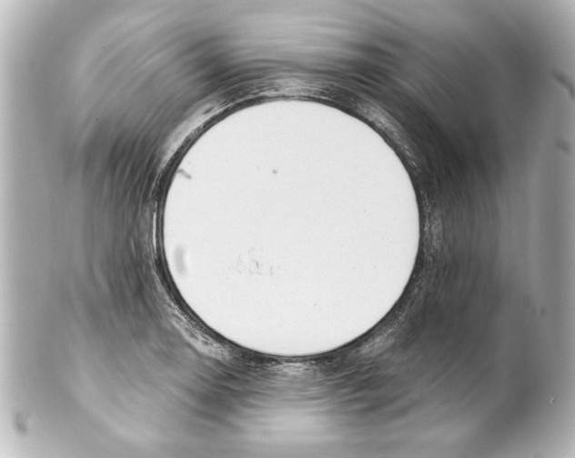 X0000101461130200808041036