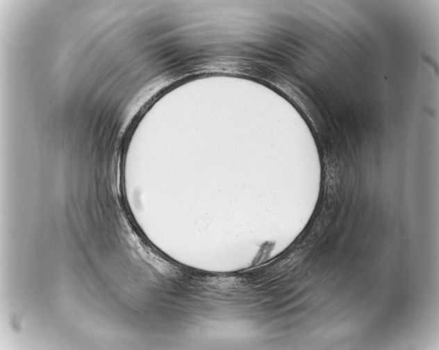 X0000101461131200808041036