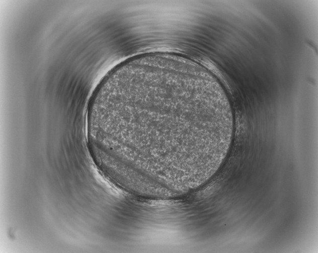X0000101461132200808041036