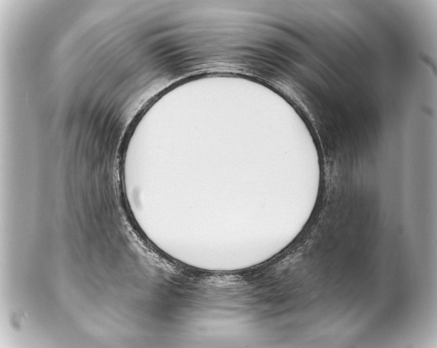 X0000101461133200808041036