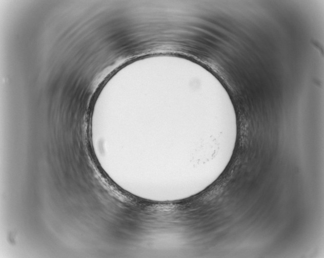 X0000101461134200808041036