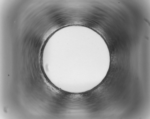 X0000101461135200808041036