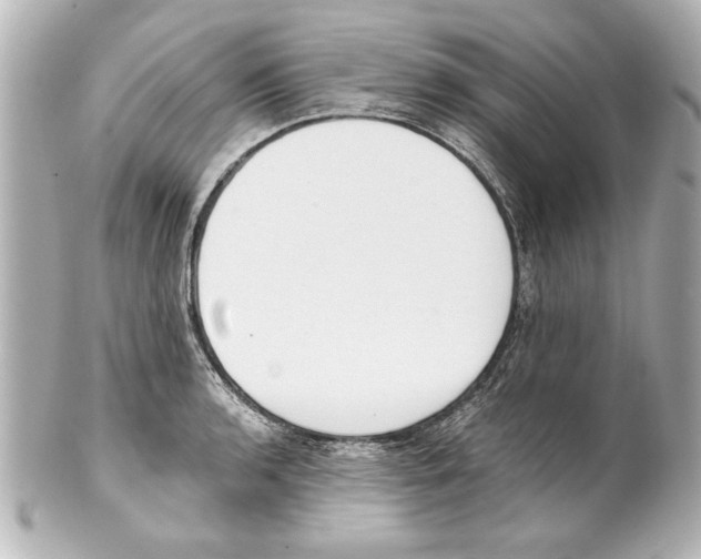 X0000101461136200808041036