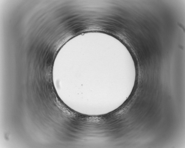 X0000101461137200808041036