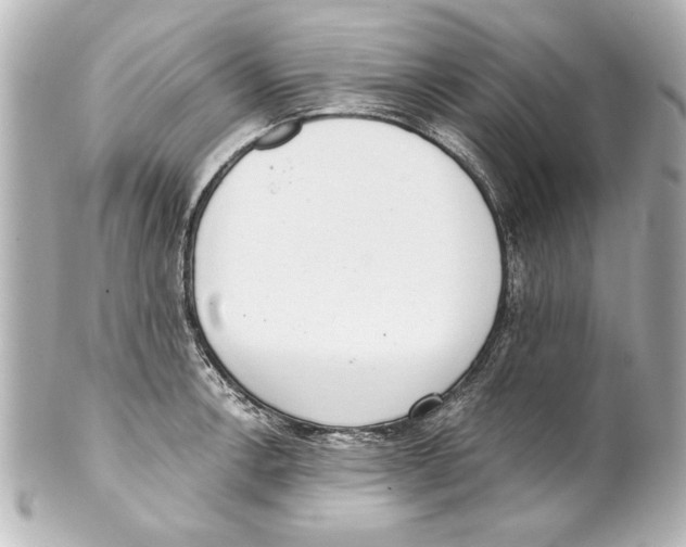 X0000101461138200808041036