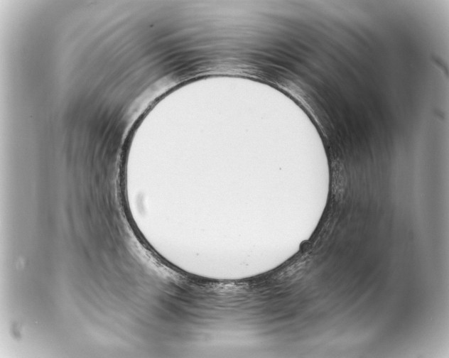 X0000101461139200808041036