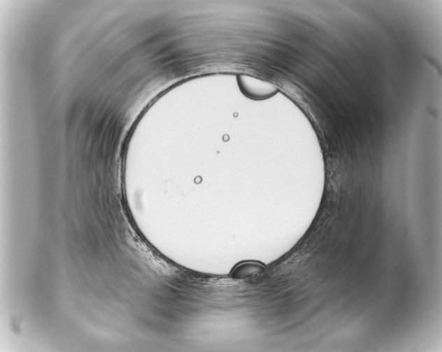 X0000101461140200808041036