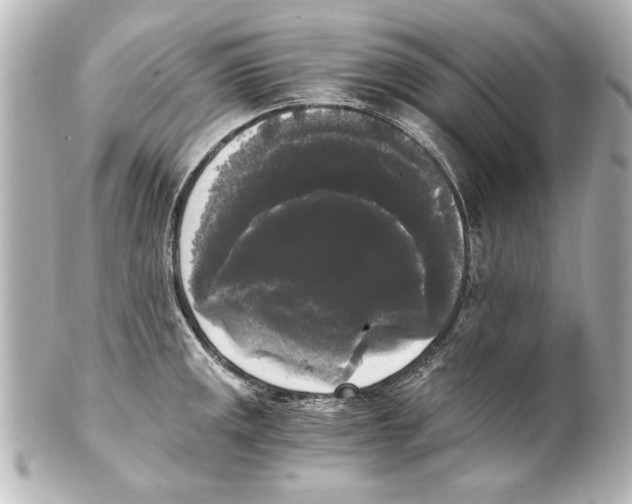 X0000101461141200808041036