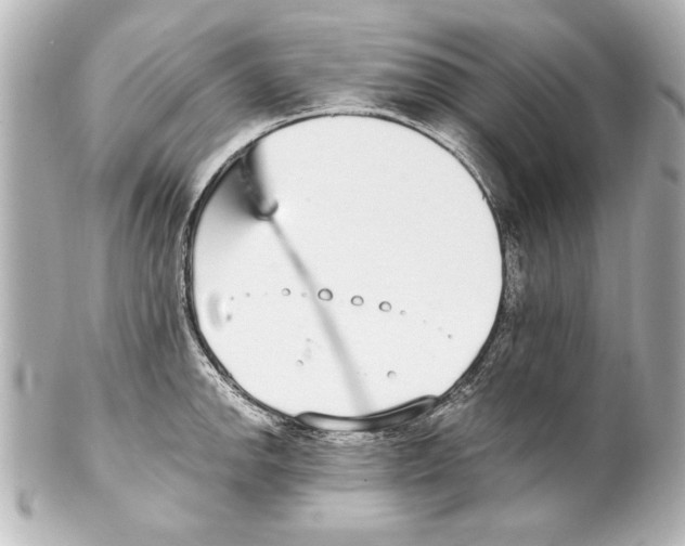 X0000101461142200808041036