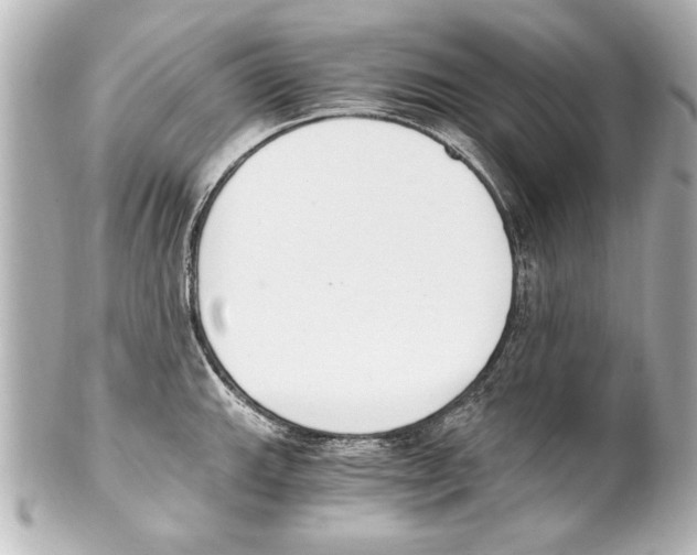X0000101461143200808041036