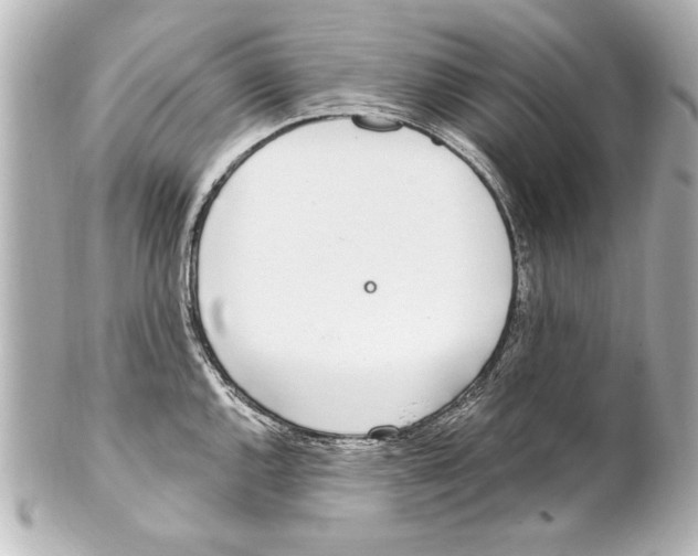 X0000101461144200808041036