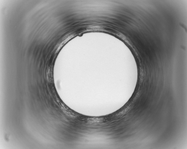 X0000101461145200808041036