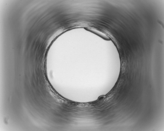 X0000101461146200808041036