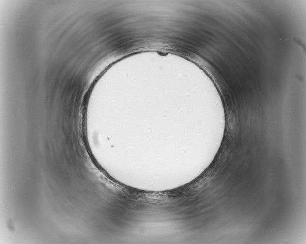 X0000101461147200808041036
