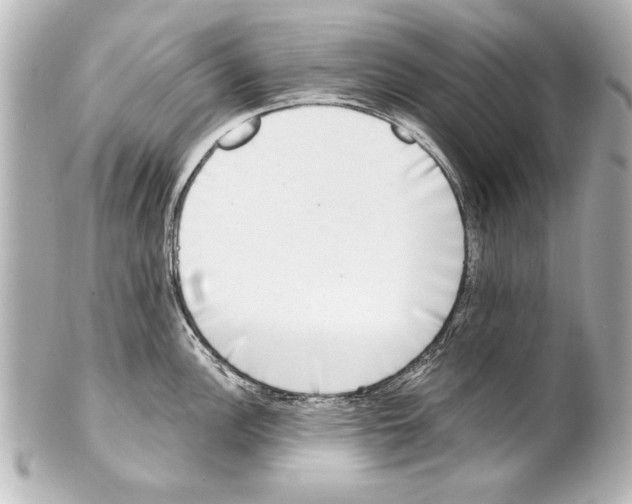 X0000101461148200808041036