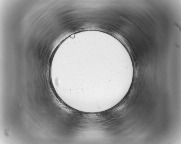 X0000101461149200808041036