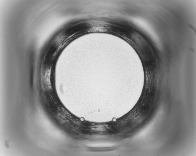 X0000101461150200808041036