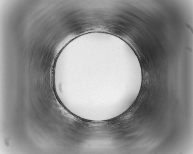 X0000101461151200808041036