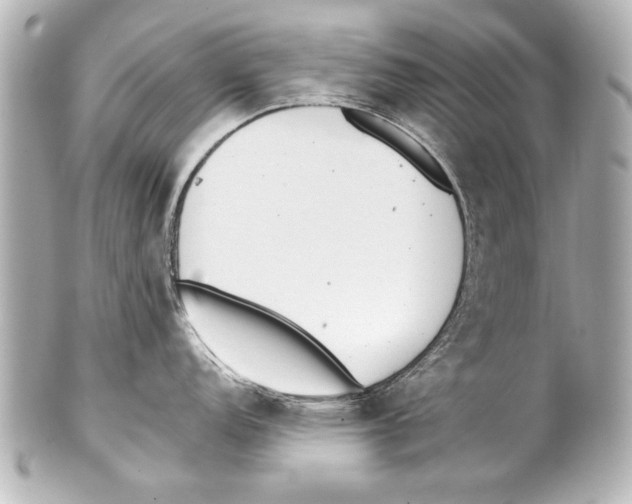 X0000101461152200808041036