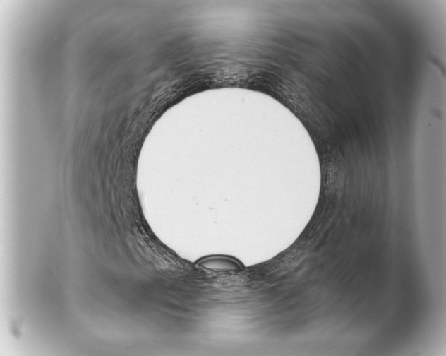 X0000101461153200808041035