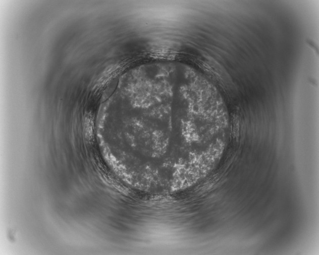 X0000101461154200808041035