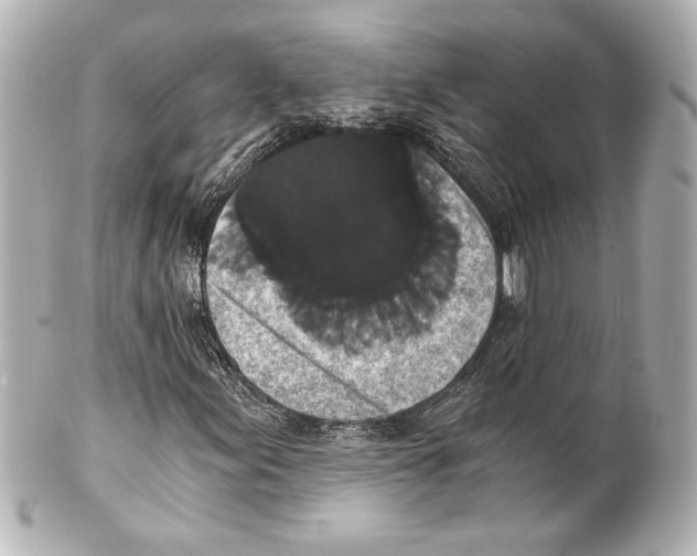 X0000101461155200808041035