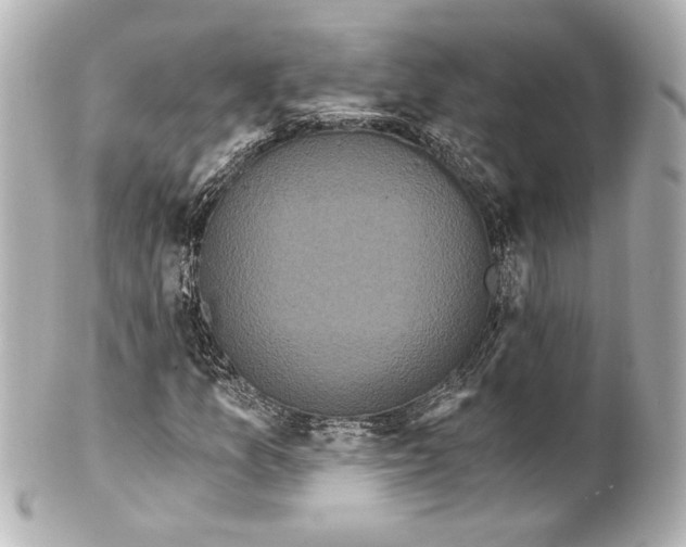 X0000101461157200808041035