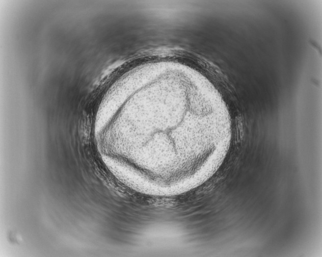 X0000101461158200808041035